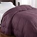 41gzaPSDODL. SL75  Where To Buy A Color Down Comforter?