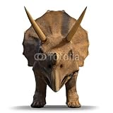 Wallmonkeys Peel and Stick Wall Decals - 3D Triceratops Dinosaur Face on - 24H x 24W Removable Graphic