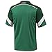 adidas Men's Mexico Home Jersey 2013/14