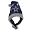 Dallas Cowboys