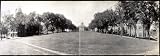 University of Wisconsin #2, Madison, Wis. (Historic Panoramic Photograph: 36