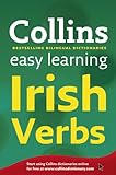 Leabhar mór na bhfocal Gaeilge