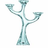 Knowing God: Walking through the Book of Books