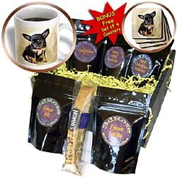 Dogs Chihuahua - Chihuahua Puppy - Coffee Gift Baskets - Coffee Gift Basket