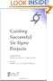 Guiding Successful Six Sigma Projects