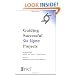 Guiding Successful Six Sigma Projects