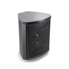 MartinLogan Grotto i High-Performance 10-Inch Servo-Control Subwoofer (Single, Black) by