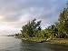 Coastline, Dangriga, Belize, Central America Photographic Poster Print by Upperhall, ...