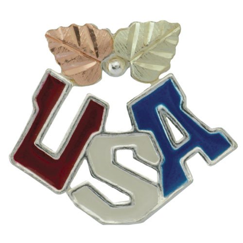 Childrens Toyshop  Jewelry : Black Hills Gold Sterling Silver USA Lapel Pin
