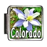 Colorado State Flower Rocky Mountain Columbine Photo Italian Charm Bracelet Link