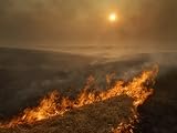 Carefully managed fires sweep across the Flint Hills in spring Photographic Poster Print by Jim Richardson, 48x64