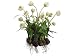 17" Cream & Green Artificial Tulip Arrangement with Flower Bulbs