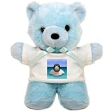 Teddy Bear Blue Cute Baby Penguin