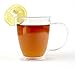 VizCása 16 Ounce Double-Wall Insulated Glass Coffee & Tea Mug Cups (Individual Cups)