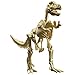 Educational Insights GeoSafari Dino Dig Tyrannosaurus Rex