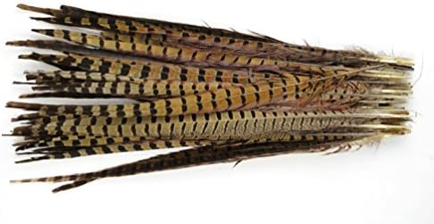 GSG Fashion Touch Of Nature 50-Piece Ring Neck Pheasant Feathers For Crafting, 20 To 24-Inch