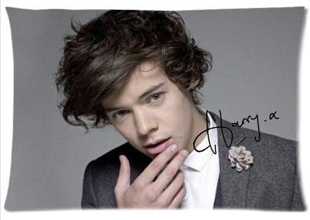 One Direction 1D Harry Styles Charming Pandora Design Custom Zippered Pillow Case 16x24 (one side print)