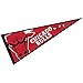 WinCraft Chicago Bulls Pennant Full Size 12 in X 30 in