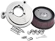 Arlen Ness Big Sucker Stage I Air Kit - Satin Backing Plate - Red Filter 18-505
