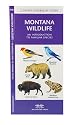 Montana Wildlife: An Introduction to Familiar Species (State Nature Guides)