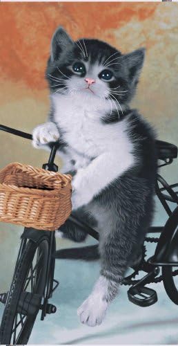 Kitty Cat Towel on Bike Wonder Beach Towel