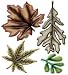 Spellbinders Cut and Emboss Dies 4-Inch by 4-1/4-Inch, Assorted Leaves