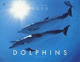 DOLPHINS(ドルフィン) カレンダー 2010