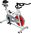 Stamina CPS 9190 Indoor Cycle Trainer