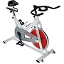 Stamina CPS 9190 Indoor Cycle Trainer