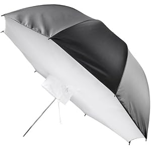http://ecx.images-amazon.com/images/I/41h0-n3NA1L._SY300_.jpg