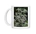 Photo Mugs of DAD-1810 Fluela - Part evergreen, hardy perennial from Ardea Wildlife Pets