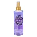 ヴィクトリアズシークレット LOVE SPELL/BODY MIST(甘酸っぱい香り) 250ml(211172017)【HTRC3】