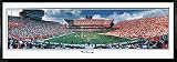 Florida Gators The Swamp vs. Auburn Tigers at Ben Hill Griffin Framed Panoramic Licensed Stadium