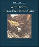 Why Did You Leave the Horse Alone?: