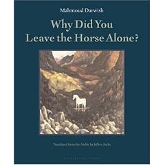 Why Did You Leave the Horse Alone?: