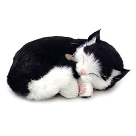 Perfect Petzzz Kitten- Black/ White by Distributoys