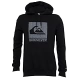 Quiksilver Young Men's All Access Fleece Hoody,Black,Large