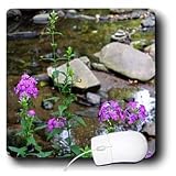 WhiteOak Photography Nature Scenes - Beauty of Simplicity Creek and flowers photo - Mouse Pads