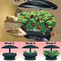AeroGarden Seed Kit