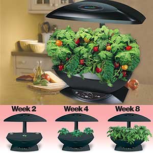 AeroGarden Seed Kit Parent