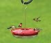 Aspects 429 Hummzinger Highview Feeder