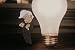 The Evolution of Light Bulbs: Light Of Your Life (1950s) [DVD]