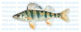 YELLOW PERCH -Fish Decal- window sticker truck fishing