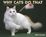Why Cats Do That 2009 Wall Calendar 13 X 10.5