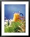 Healthy Ingredients (Quark, Milk, Juice, Cereals) on Grass Cuisine Framed Art Poster Print, 25x31