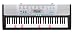 Casio LK-220 Personal Lighted Keyboard, 61-Key, with MP3 Connection, USB Port, and 400 Tones