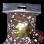 Chunky Cattleya Classic Orchid Mix - THE BOX