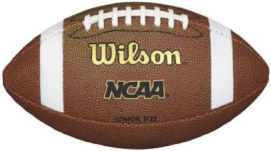 Wilson NCAA Composite Football