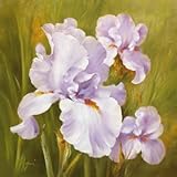 IMAGE OF Spring Flair I Beautiful MUSEUM WRAP CANVAS Print with Added BRUSHSTROKES Fasani 24x24
