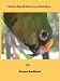 15 Safety Tips All Bird Owners Must Know (the Radford pet bird care series)